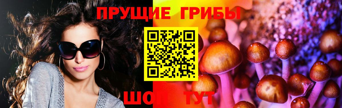 Галлюциногенные грибы Psilocybine cubensis Богданович